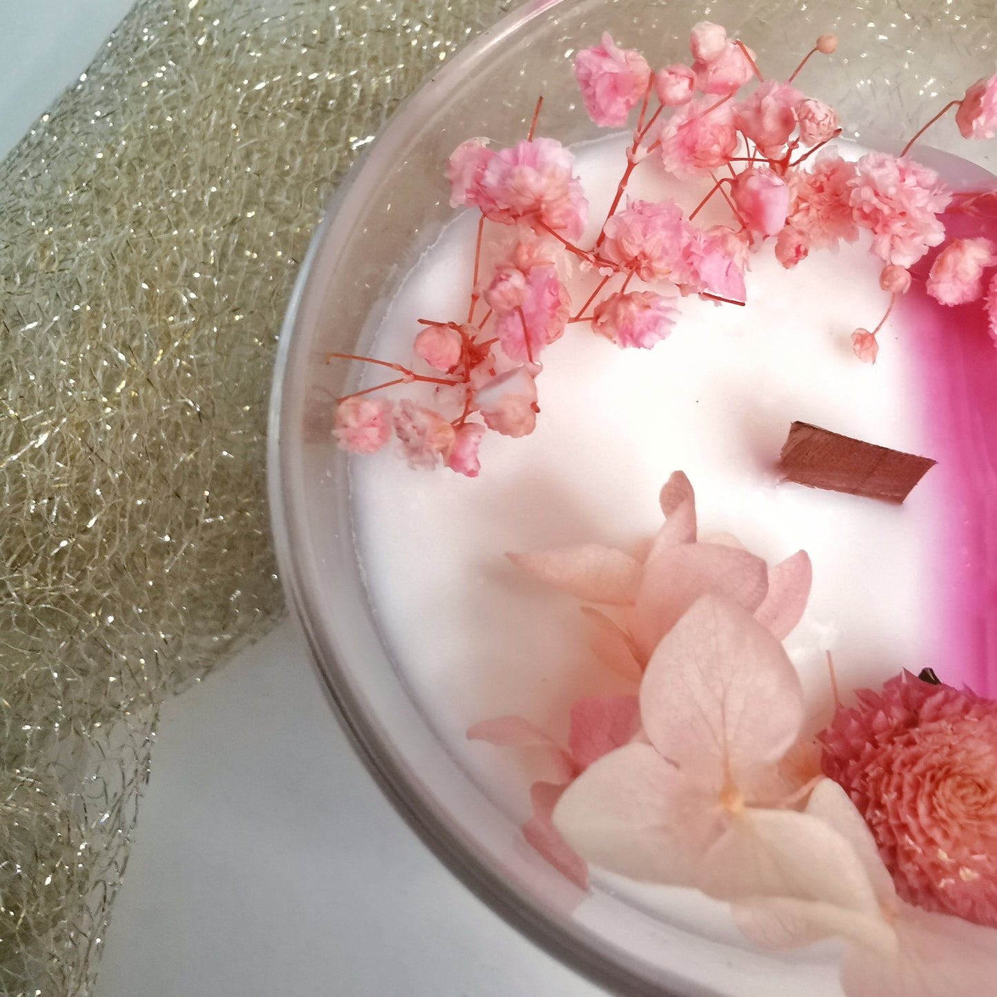 Blooming spring in pink
