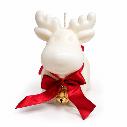 Rudolf the little rain deer