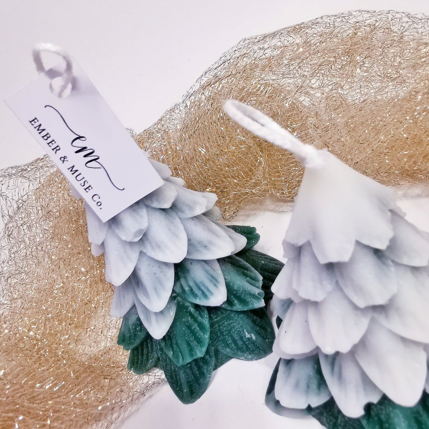 Τhe tree in the forest