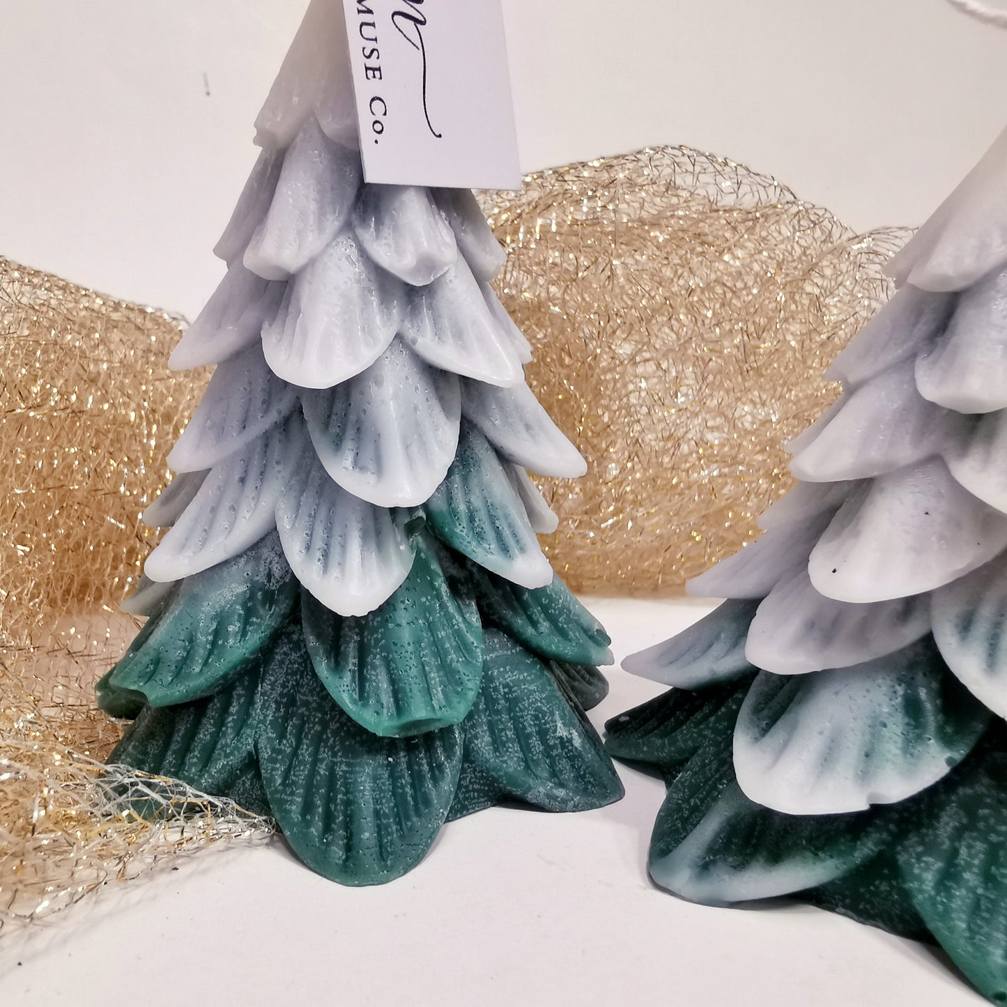 Τhe tree in the forest