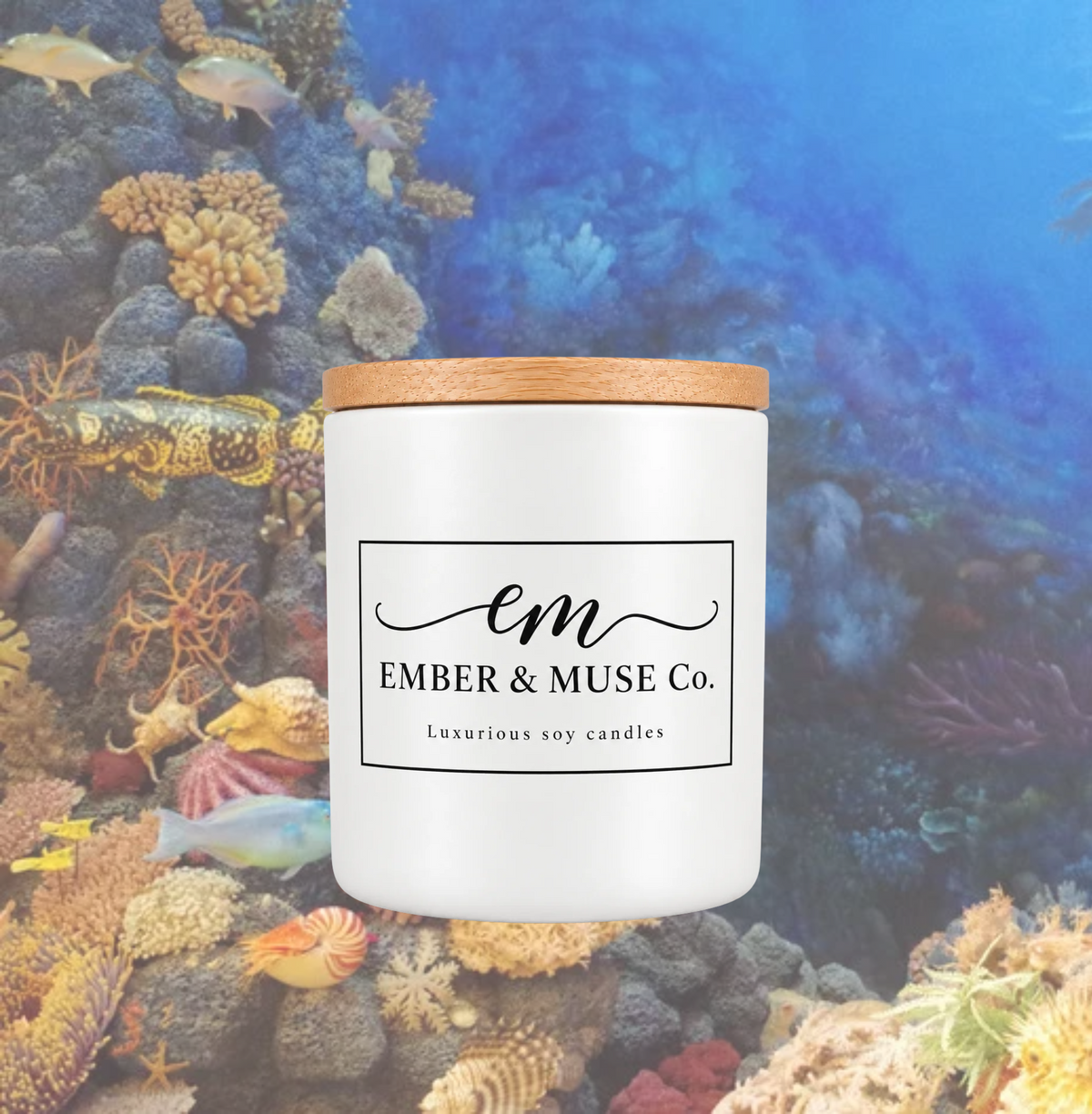 Sea Vegetables | Μυστικά του Βυθού